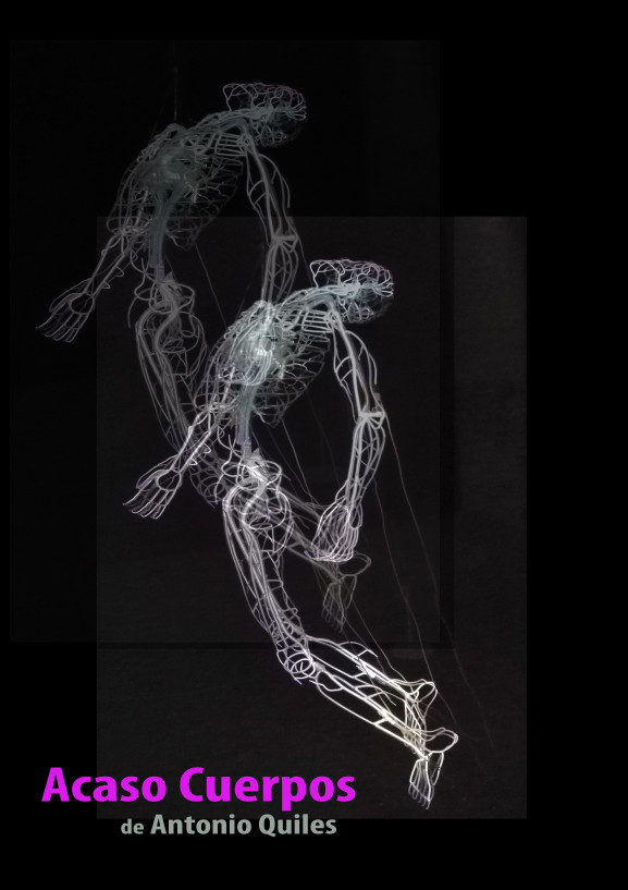 Acaso cuerpos - Poster