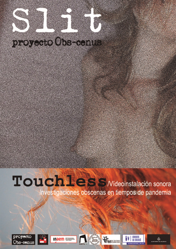 Slit / Proyecto Obs-cenus - Poster
