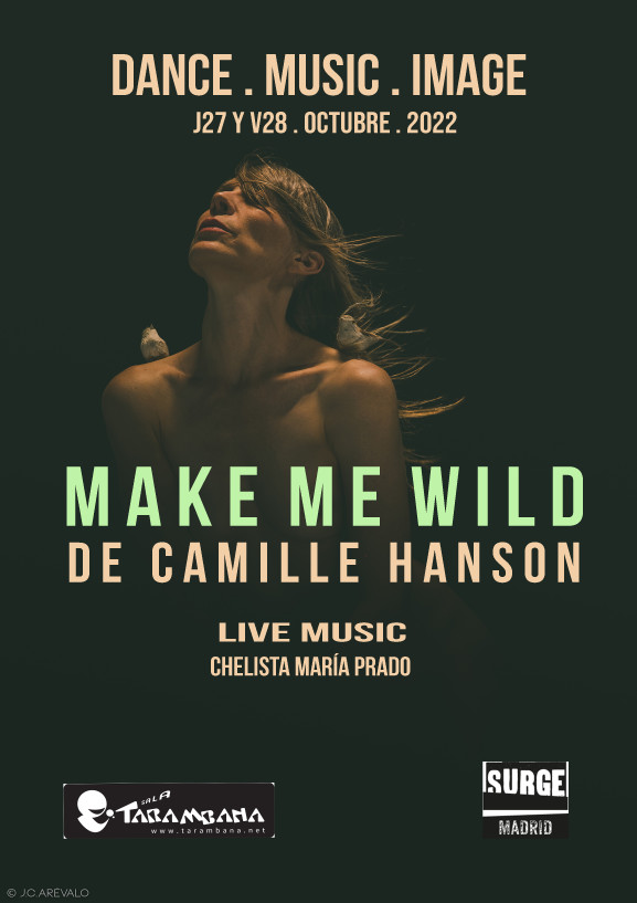 Make me wild - Poster