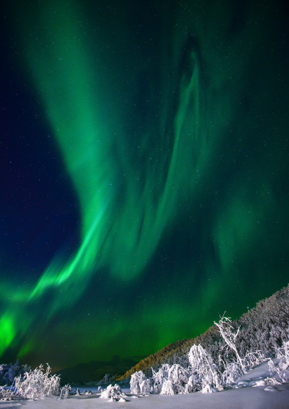 Nature; montañas de luz - Poster