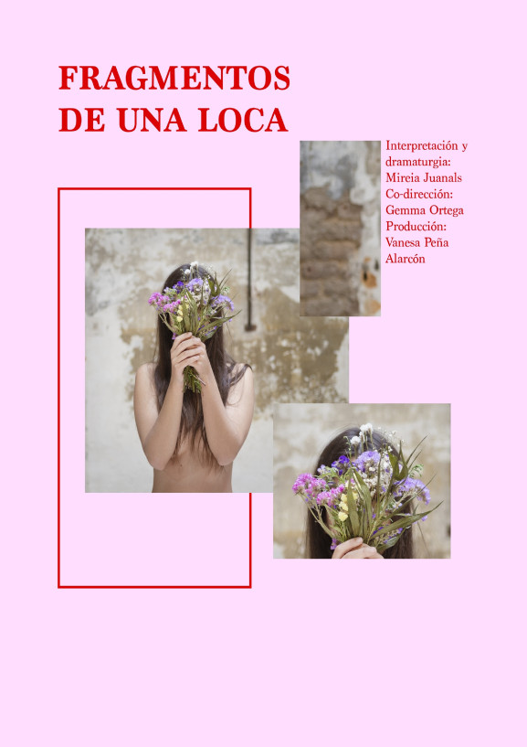 Fragmentos de una loca - Poster