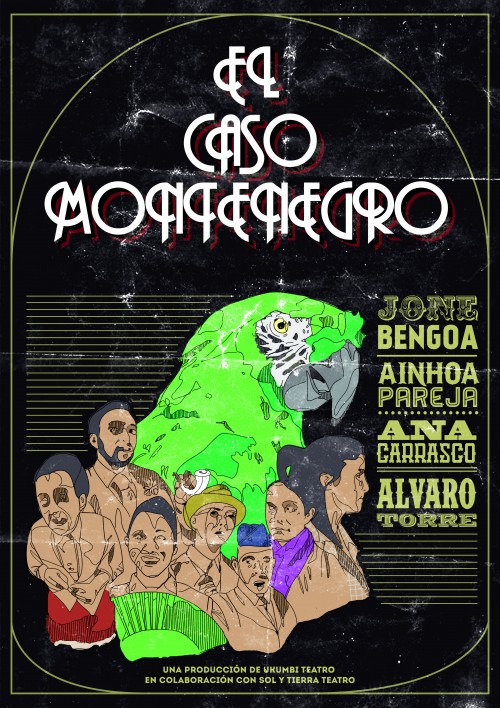 El caso montenegro. - Poster