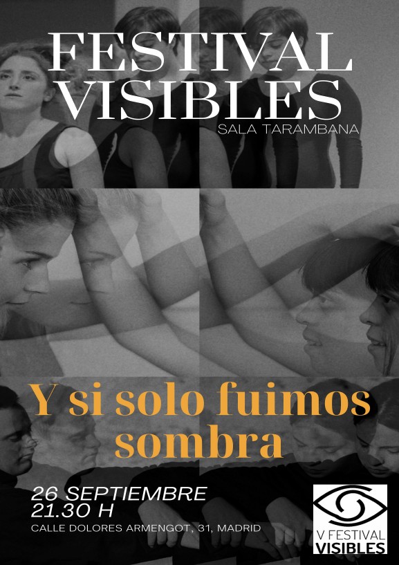 Y si solo fuimos sombra - Poster