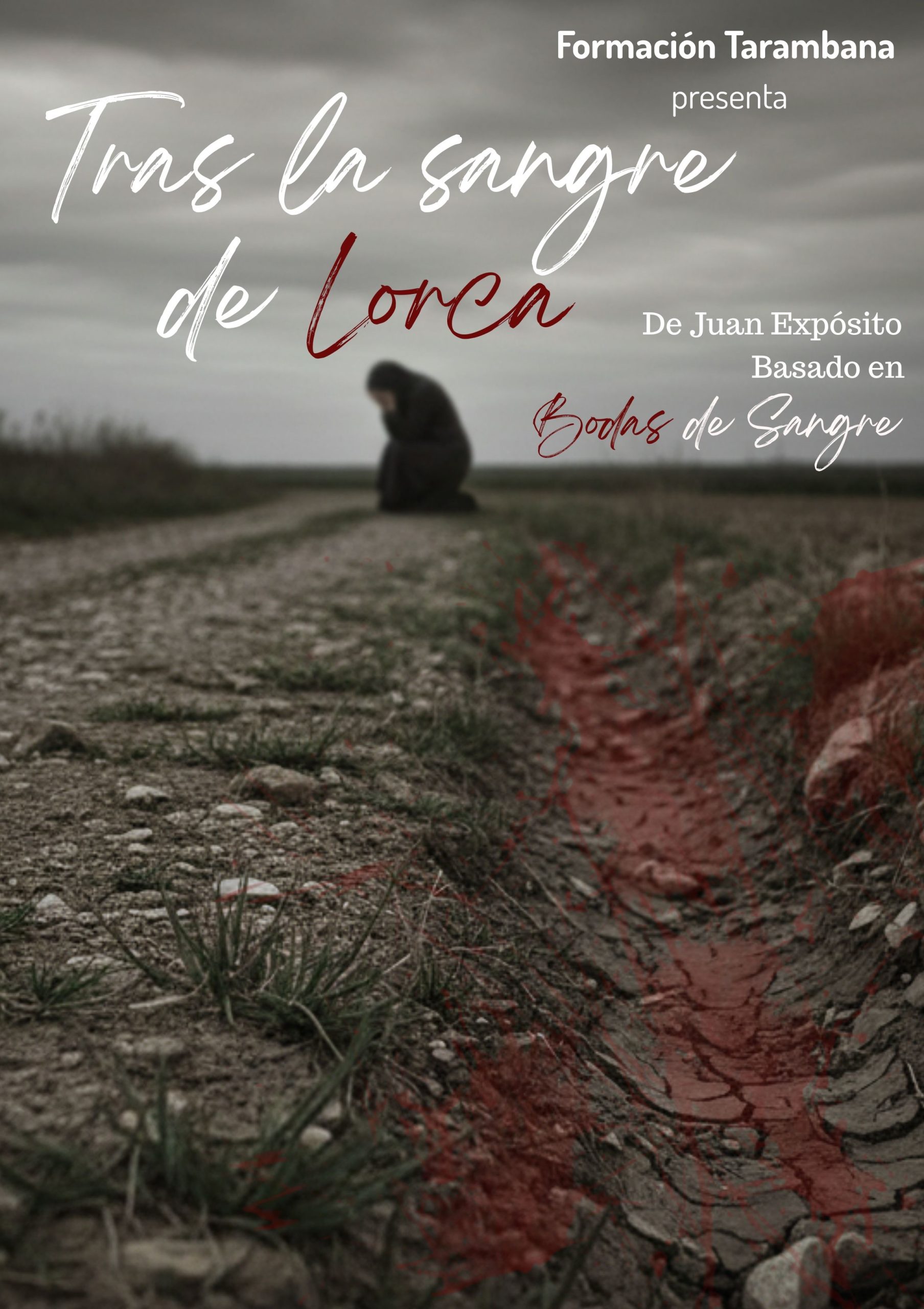 Tras la sangre de Lorca - Poster