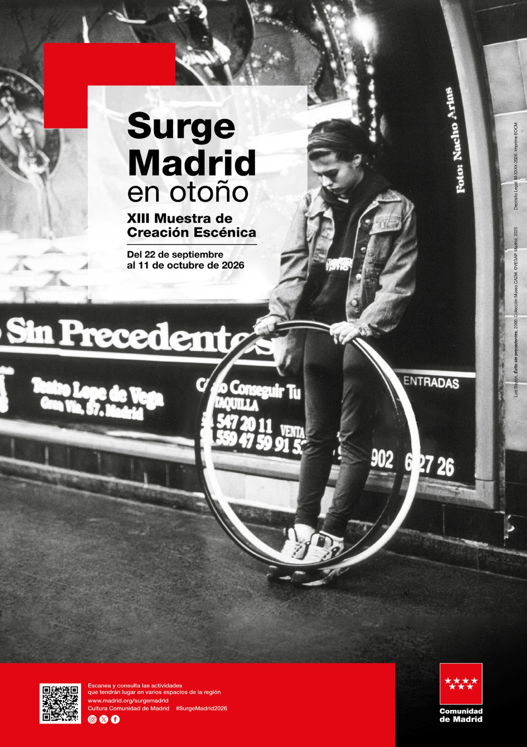 Amniótico - 13 Surge Madrid - Poster